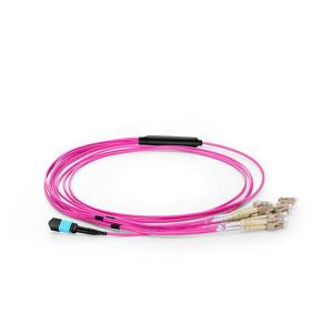 QYY-  OM3 OM4 8/12/24 Cores 2.0mm Fiber Optic Patch Cord Patch Cord MTP-LC Multi Mode QYY-  OM3 OM4 8/12/24 Cores 2.0mm Fiber Optic Patch Cord Patch Cord MTP-LC Multi Mode